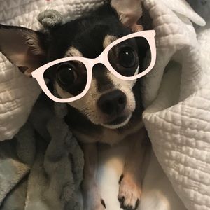 Meet your Posher, Maria